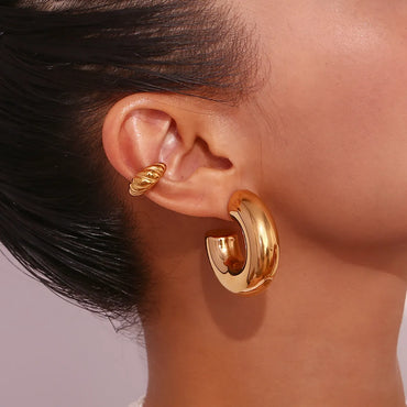 1 Pair Basic Simple Style Classic Style C Shape Plating Stainless Steel 18k Gold Plated Earrings