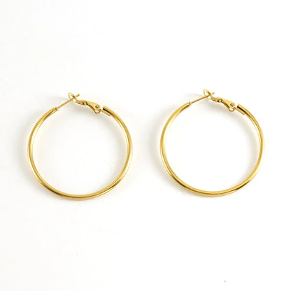 1 Pair Basic Solid Color Plating Stainless Steel Earrings