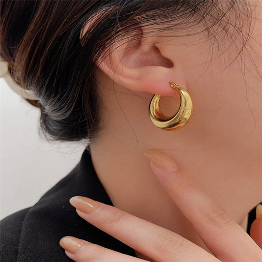 1 Pair Casual Basic Geometric Plating Titanium Steel 18k Gold Plated Earrings