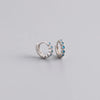 1 Pair Casual Round Inlay Sterling Silver Zircon Earrings