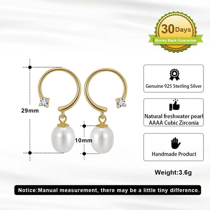 1 Pair Elegant Simple Style Geometric Polishing Plating Sterling Silver 14k Gold Plated Drop Earrings