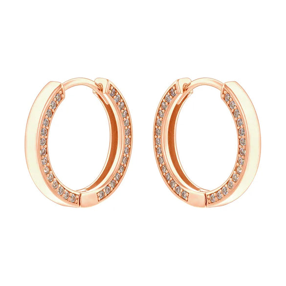 1 Pair Elegant Simple Style Round Plating Inlay Copper Zircon 18K Gold Plated Drop Earrings