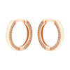 1 Pair Elegant Simple Style Round Plating Inlay Copper Zircon 18K Gold Plated Drop Earrings