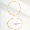 1 Pair Fashion Round Stainless Steel Plating Hoop Earrings