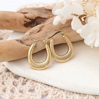 1 Pair Ig Style Semicircle Plating Stainless Steel Hoop Earrings