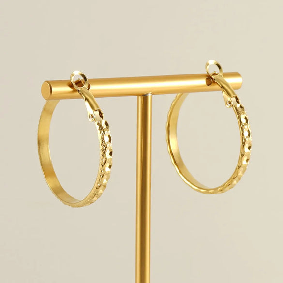 1 Pair Modern Style Simple Style Solid Color Plating Stainless Steel 18k Gold Plated Hoop Earrings