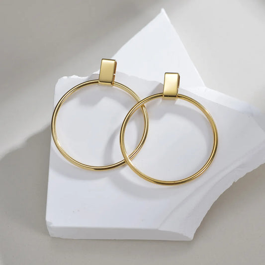 1 Pair Simple Style Circle Plating Stainless Steel 18k Gold Plated Drop Earrings