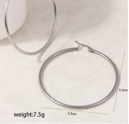 1 Pair Simple Style Classic Style Circle 304 Stainless Steel Hoop Earrings