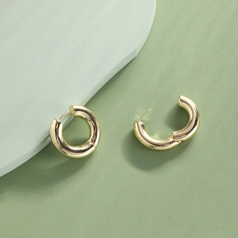 1 Pair Simple Style Classic Style Solid Color Alloy Earrings