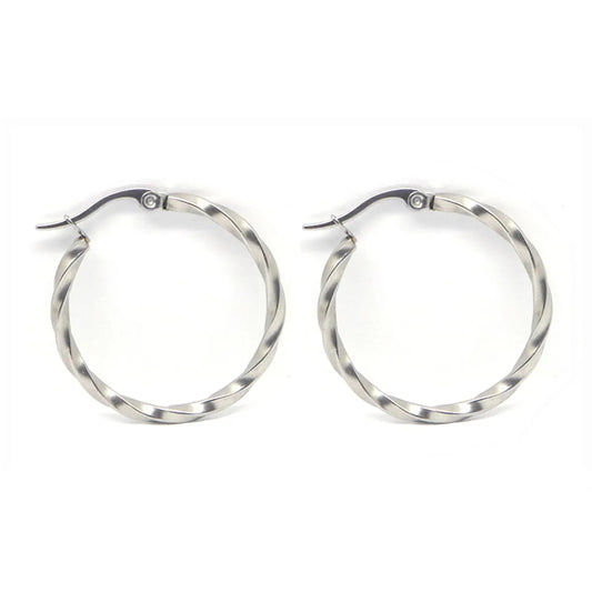 1 Pair Simple Style Commute Geometric Polishing Plating Titanium Steel Earrings