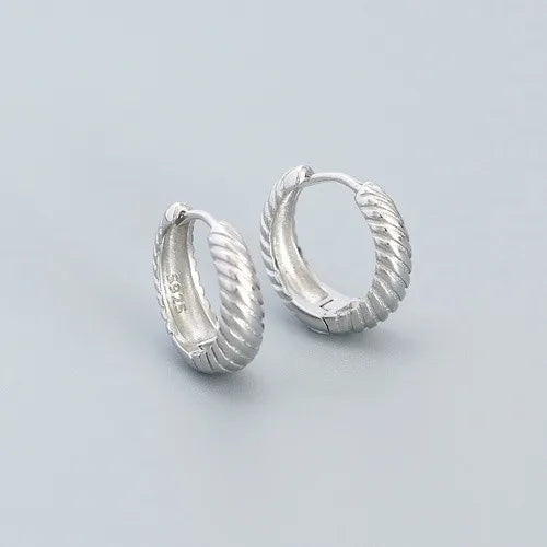 1 Pair Simple Style Geometric Plating Sterling Silver Earrings