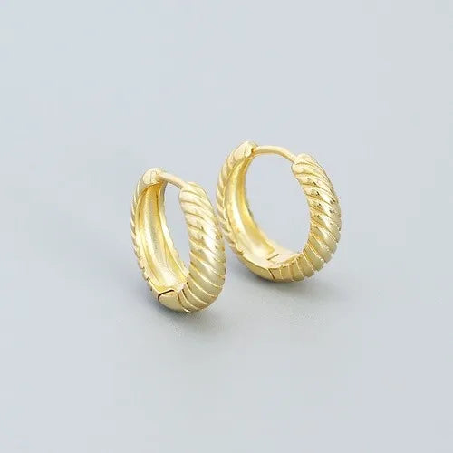 1 Pair Simple Style Geometric Plating Sterling Silver Earrings