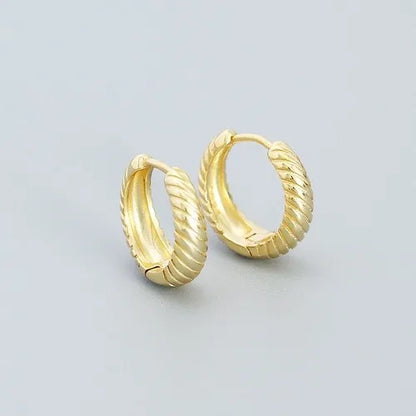 1 Pair Simple Style Geometric Plating Sterling Silver Earrings