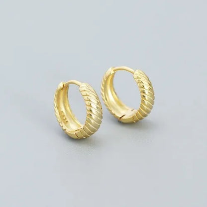 1 Pair Simple Style Geometric Plating Sterling Silver Earrings