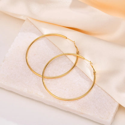 1 Pair Simple Style Geometric Stainless Steel Hoop Earrings