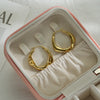 1 Pair Simple Style Oval Pea Plating 304 Stainless Steel 18K Gold Plated Earrings