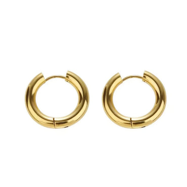 1 Pair Simple Style Round Plating Titanium Steel Hoop Earrings