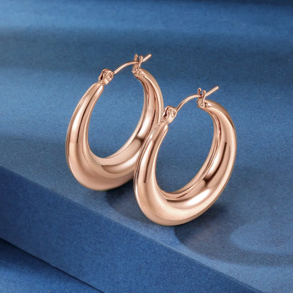 1 Pair Simple Style Round Stainless Steel 18K Gold Plated Ear Studs