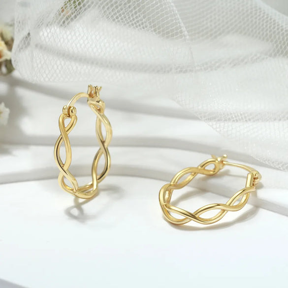 1 Pair Simple Style S Shape Argyle Polishing Plating Sterling Silver Rose Gold Plated White Gold Plated Hoop Earrings