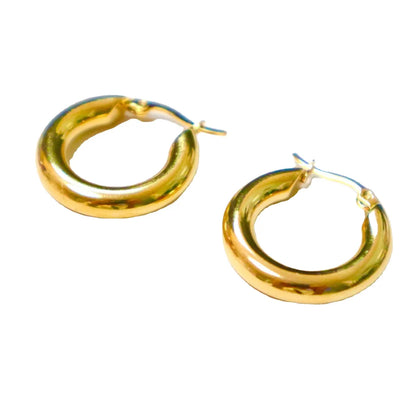 1 Pair Simple Style Solid Color Plating Stainless Steel Hoop Earrings