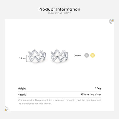 1 Pair Simple Style Waves Plating Sterling Silver 14k Gold Plated Rhodium Plated Ear Clips