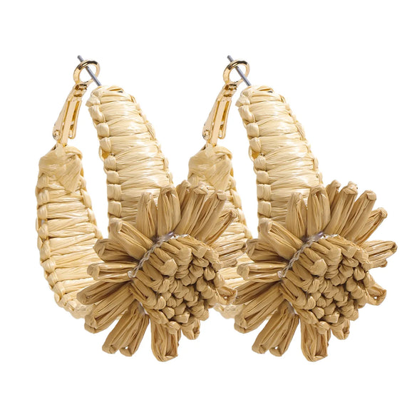 1 Pair Vacation Simple Style Flower Alloy Raffia Earrings