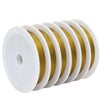 1 Piece 0.25mm 0.3mm 0.45mm 304 Stainless Steel Solid Color Polished Steel Wire