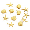 1 Piece 12mm 19mm 304 Stainless Steel Scallop Starfish Pendant