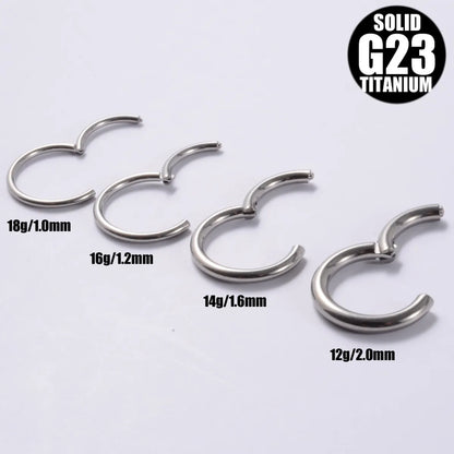 1 Piece Casual Hawaiian Tropical Circle Polishing G23 Titanium Earrings