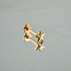 1 Piece Lip Rings Casual Hawaiian Tropical Star Moon 304 Stainless Steel 18K Gold Plated Ear Cartilage Rings & Studs