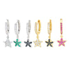 Fashion New Style Zircon Five-pointed Star Earrings