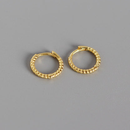 Geometric Plating No Inlaid Earrings