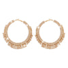 Retro Rhinestone Tassel Large Circle Claw Chain Earrings