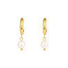 1 Pair Fashion Geometric Plating Stainless Steel Freshwater Pearl 18k Gold Plated Earrings