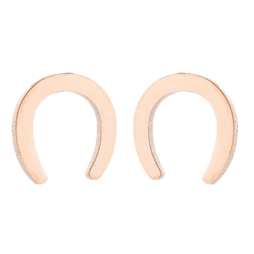 Women's Simple Style Geometric Stainless Steel No Inlaid Ear Studs Stainless Steel Earrings