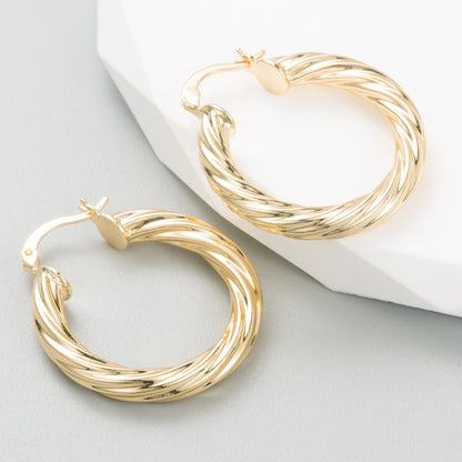 Fashion Geometric Titanium Steel Hoop Earrings Plating Stainless Steel Earrings