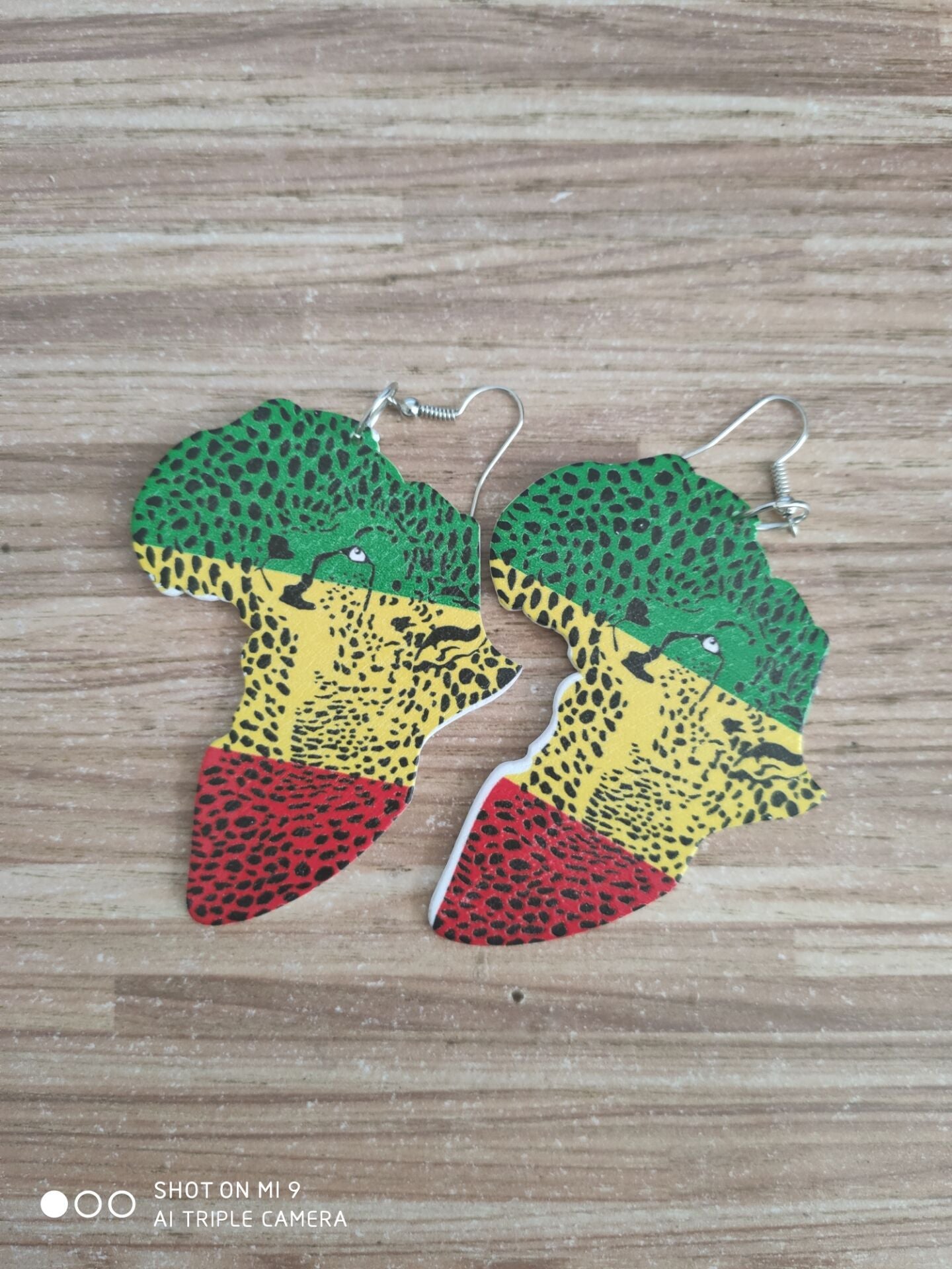 Fashion Color Resin African Map Earrings Nhgo142985