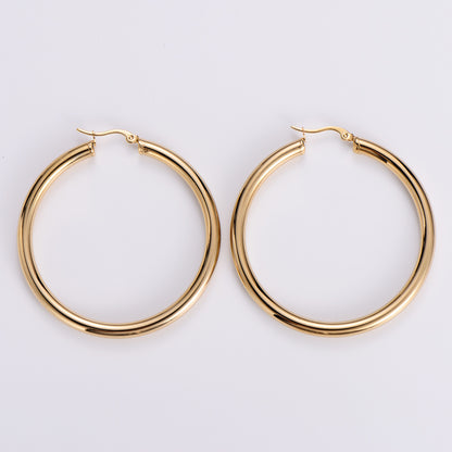 Simple Style Geometric Polishing Stainless Steel No Inlaid Earrings