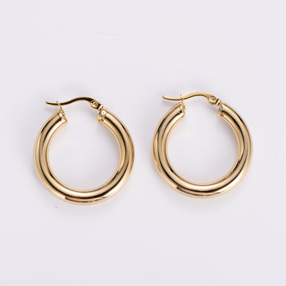 Simple Style Geometric Polishing Stainless Steel No Inlaid Earrings