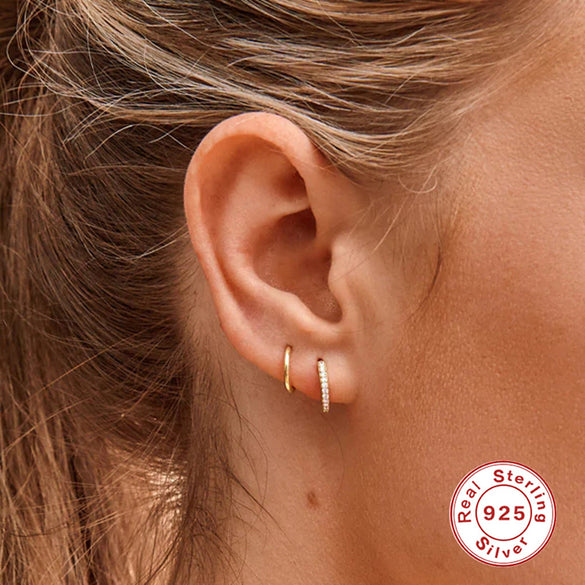 Fashion Round Silver Inlaid Zircon Earrings 1 Pair