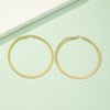 Exaggerated Circle Alloy Plating Women's Hoop Earrings 1 Pair