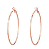 Fashion Circle Metal Plating Women's Earrings 1 Pair