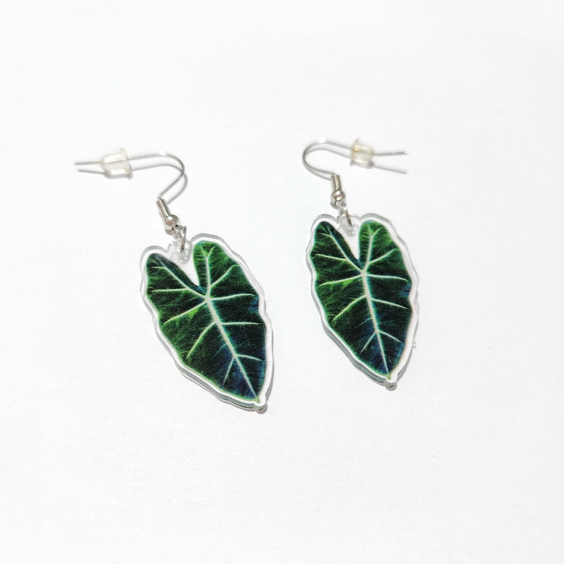 1 Pair Vacation Leaves Arylic Women's Drop Earrings