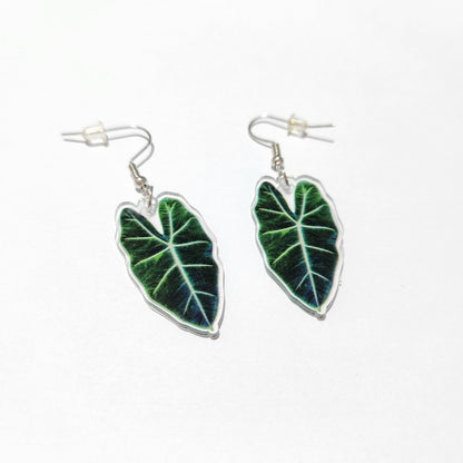 1 Pair Vacation Leaves Arylic Women's Drop Earrings