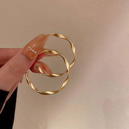 1 Pair Streetwear Geometric Plating Metal Hoop Earrings