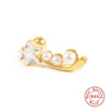 1 Piece Vintage Style Ice Cream Heart Shape Butterfly Plating Inlay Sterling Silver Zircon Ear Studs