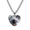 Cute Heart Shape Cat Glass Glass Plating Women's Pendant Necklace