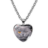 Cute Heart Shape Cat Glass Glass Plating Women's Pendant Necklace