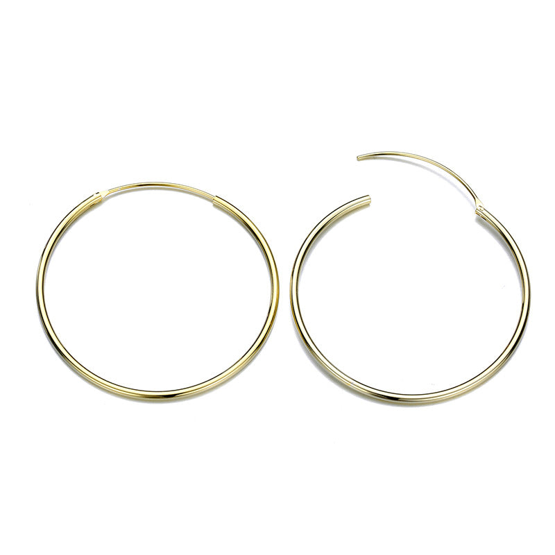 Fashion Stainless Steel Ear Hoop Simple Gold-plated Earrings Ear Accessories For Women Wholesale