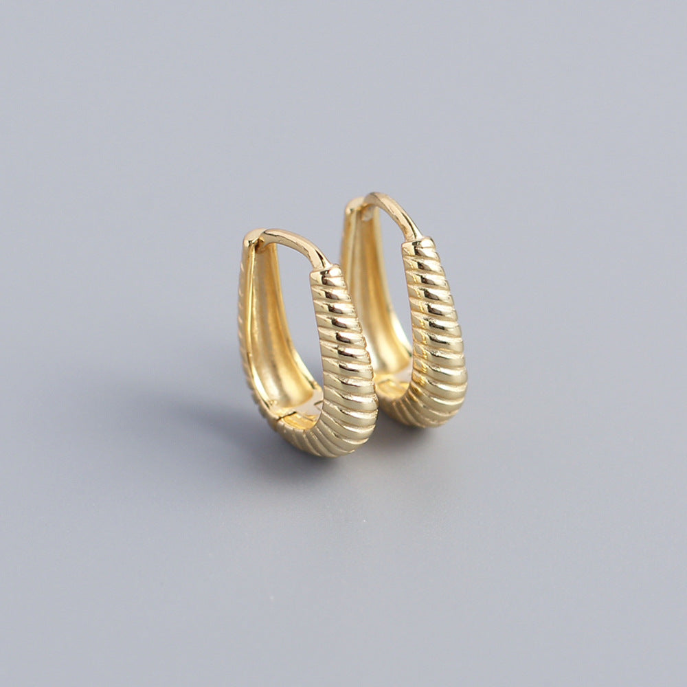 1 Pair Casual Spiral Stripe Sterling Silver Earrings